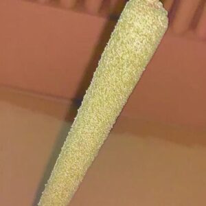 Moon Joint