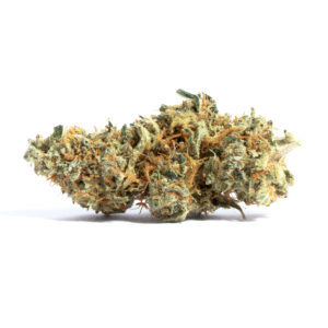 ON SPECIAL AMNESIA GH (SATIVA)