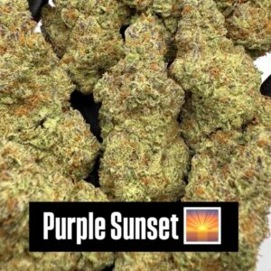 PURPLE SUNSET (H) INDOOR
