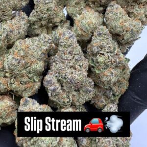 SLIP STREAM (H) INDOOR