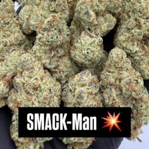 SMACK MAN (H) INDOOR